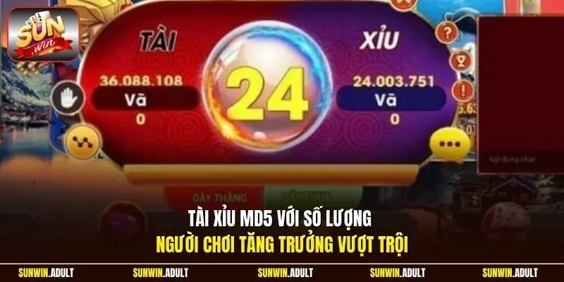 Tài Xỉu MD5 với số lượng người chơi tăng trưởng vượt trội